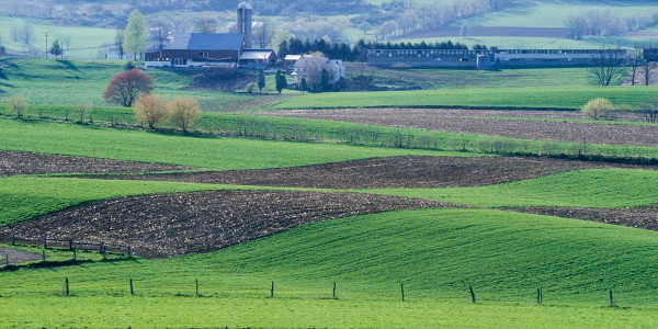 Agregación de Fincas Catastro